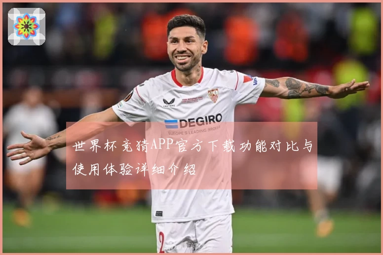 世界杯竞猜APP官方下载功能对比与使用体验详细介绍