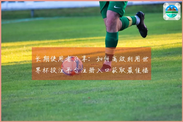 长期使用者分享：如何高效利用世界杯投注平台注册入口获取最佳福利信息