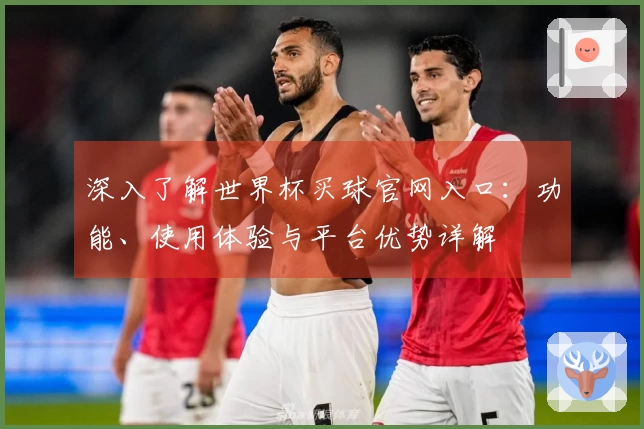 深入了解世界杯买球官网入口：功能、使用体验与平台优势详解