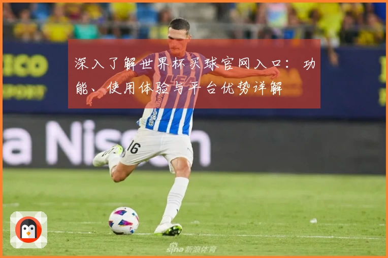 深入了解世界杯买球官网入口：功能、使用体验与平台优势详解